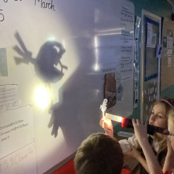 Shadows in Year 3