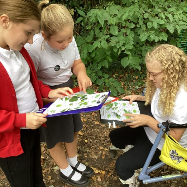 Ruby Class - Autumn First Half Term Update